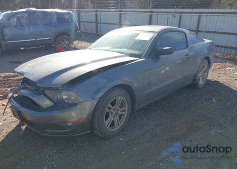 2013 Ford Mustang V6 z USA, uszkodzony, nr VIN 1ZVBP8AM1D5264337